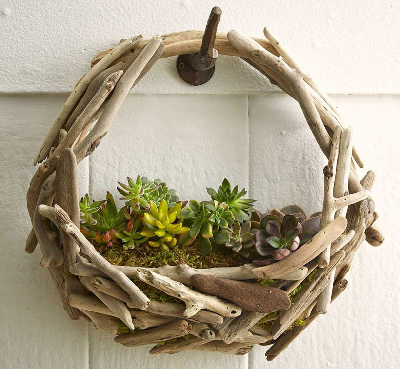 Driftwood Succulent Wall Garden