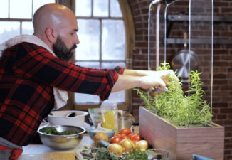 It’s The Perfect Time to Grow Your Own Food with Herb Mini Garden