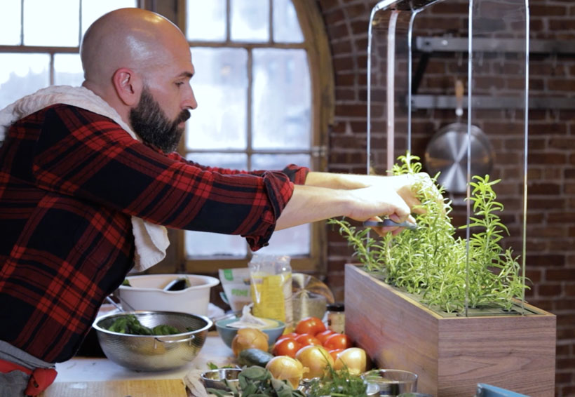 It's The Perfect Time to Grow Your Own Food with Herb Mini Garden - Indoor Garden