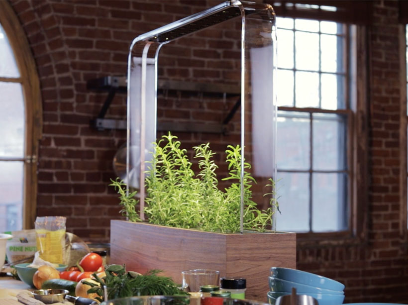 It's The Perfect Time to Grow Your Own Food with Herb Mini Garden - Indoor Garden