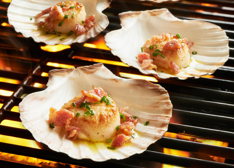 King Scallop Grilling Shells - Set of 4