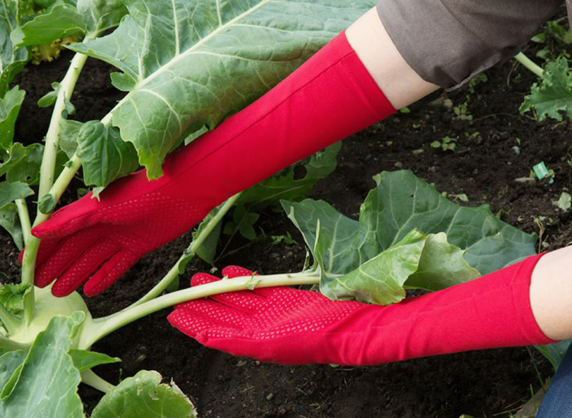 Foxgloves Second-Skin Extra Long Garden Gloves Protect Your Skin from Soil and Scratches