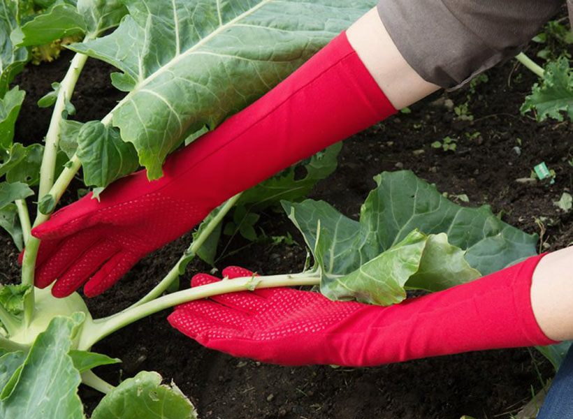 Second-Skin Extra Long Garden Gloves by FoxGloves